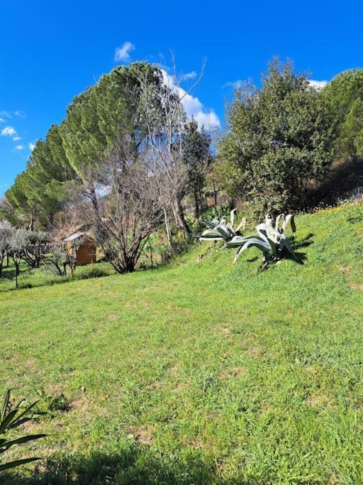 Le Champ Des Hors Villa Vailhauques Kültér fotó
